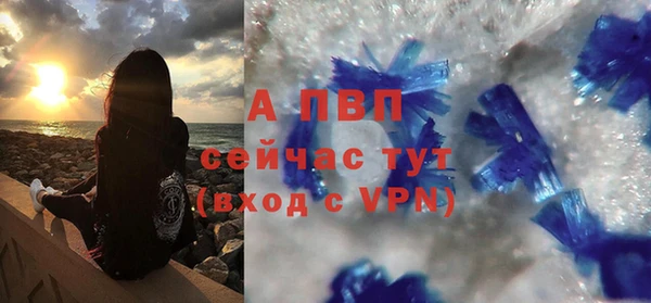 стафф Абинск