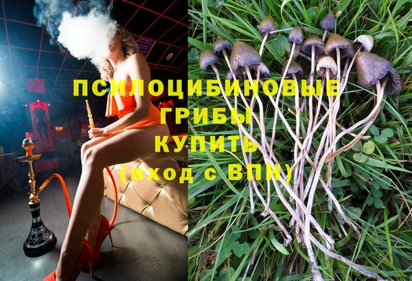 дживик Абаза