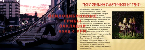 дживик Абаза