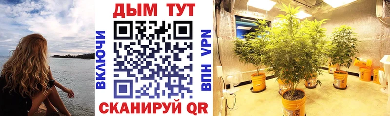 Марихуана White Widow  Весьегонск 